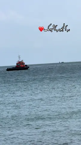 #❤️❤️❤️❤️❤️❤️❤️❤️❤️❤️❤️❤️❤️❤️❤️ #🥺❤️ 