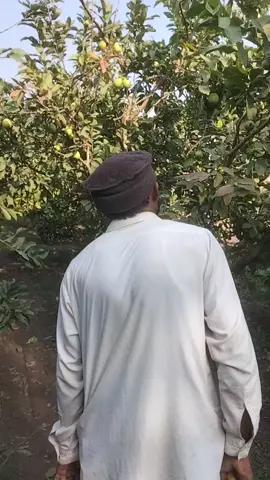 #pakistan🥰😍😍😍🥰😍😍🥰 