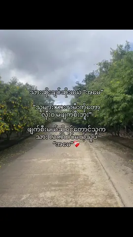 🦥#fyp #fypage #tiktok #viral 