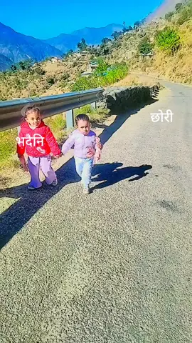 @Diwangs Acharya @लक्ष्मण चौलागाईं @Padamakala Chaulagain @khadananda chaulagain 