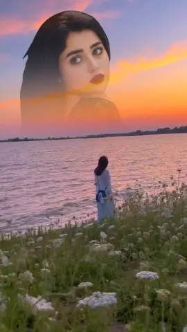 #ياروح_الروح 