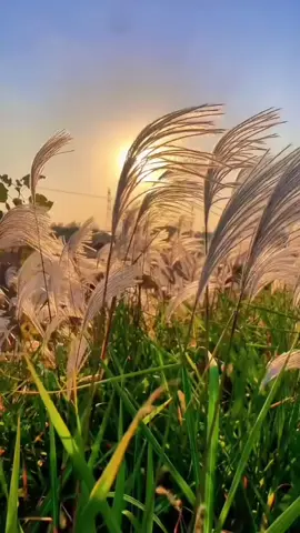 #السعودية_العظمى #اكسبلورexplore #مشاهدات 