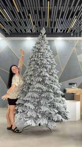 Версаль Преміальна❄️ Улюблена засніжена модель наших клієнтів 🙌🏻 Фаворит з продаж  Неймовірно густа  та пишна ☺️ Ідеальна форма гілочки 👌пятипала  Ялинка іде повністю лита ✅ Без жодних гілок пвх ❌ Акуратно засніжена штучним снігом  (Який безпечний для Вас та діток )  Модель іде з колекції ПРЕМІУМ Її переваги 👇 ✔️густіша  ✔️має більшу кількість гілочок  ✔️сніг менше осипається  Доступні розміри :  1.1м ( в горшку ) 1.5м  1.8м 2.1м  2.3м 2.5м В комплекті металічна підставка 📦та картонна упаковка