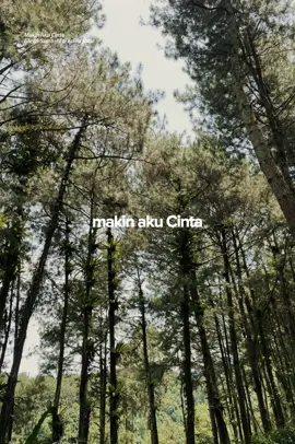 terlalu sibuk membahagiakan diri sendiri, sampai pada akhirnya akan lupa dengan semua yg tlah terjadi dengan sendirinya #daonghutanpinus #makinakucinta #gleensamuel #brisiajodie #CapCut 