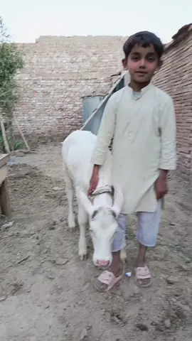 #✌️✌️✌️ #lik 