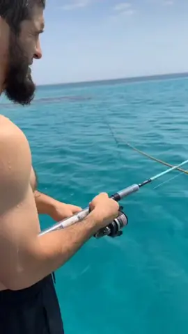 King islammakhacev fishing very good 👑 #fishing #islammakhachev #casting #landbasedfishing 