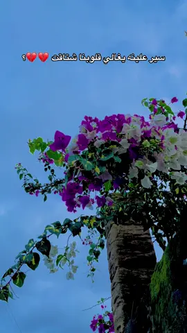 #شويت_عتب #عاديلوك