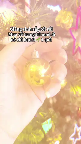 Hộp Combo Trái Châu trang trí Noel Giáng Sinh và phụ kiện  #noel #merrychristmas #newyear #giangsinh #trangtrinoel 