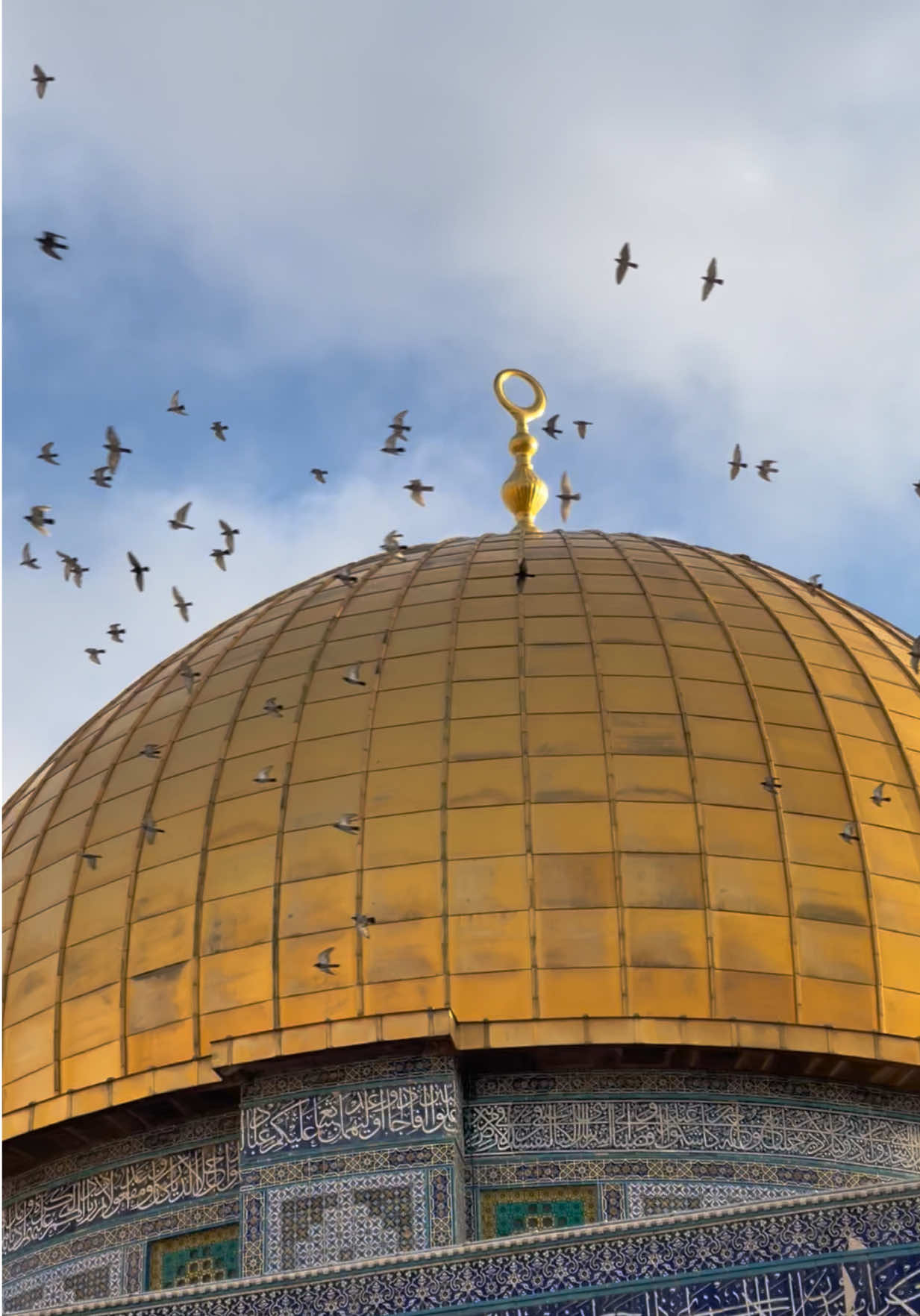 🤍 . . . #fyp #tiktok #capcut #palestine #sky 