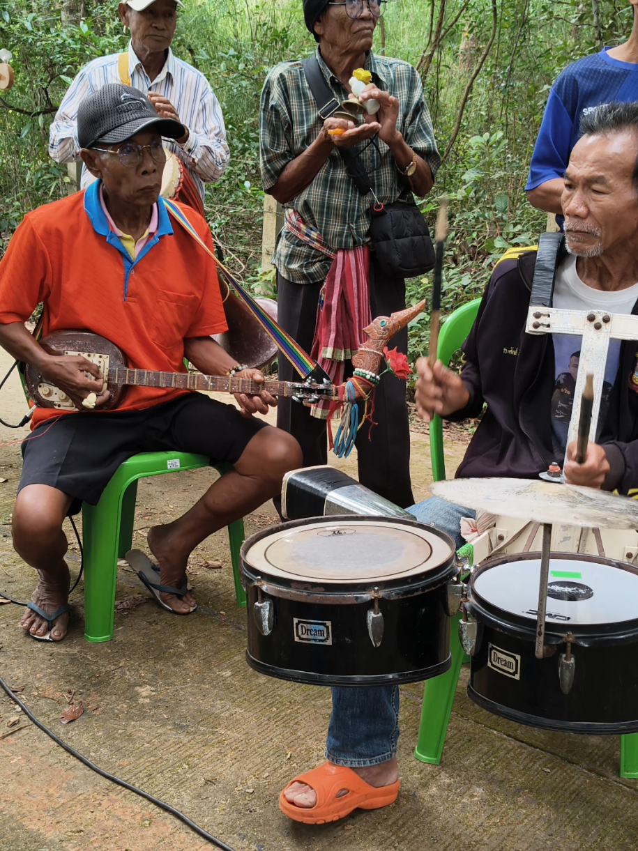 ลายแห่ อ.ผ่อง🪕#อาจารย์ผ่องมือพิณ #ป๋าต๊อดมือกลองส่ะโล่ #creatorsearchinsights 