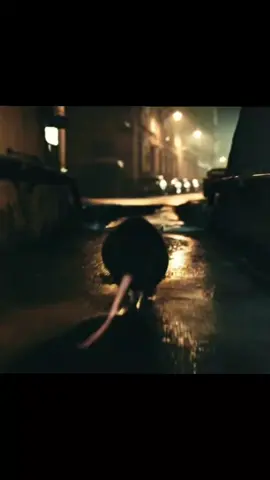 Un dia en mi Barrio remix 🐭 @pirlo420music... ...  #polemica #tendencia #fyp #colombia #undiaenmibarrio 