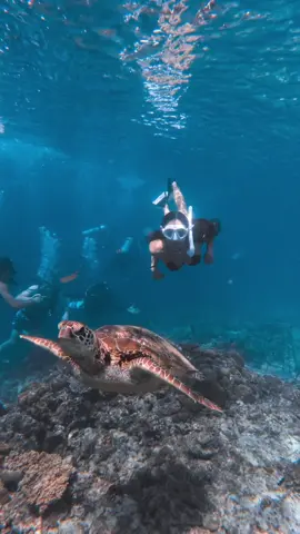 🌊✨🤍#bossbabepinas #bossjezza #freediving #fyp 