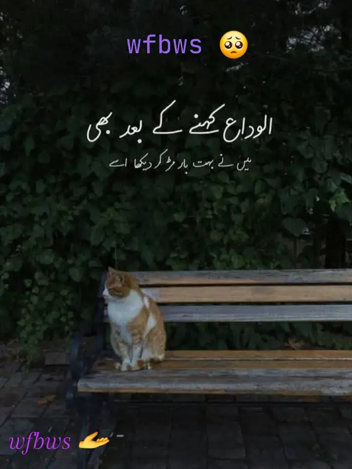 #creatorsearchinsights #100kviews_likes_ 