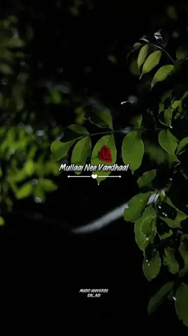 ❤️‍🩹🥀ᴍᴜʟʟᴀᴀɪ ɴᴇᴇ ᴠᴀɴᴅʜᴀᴀʟ ᴋᴀɴɢᴀʟᴀɪ ᴛʜɪʀᴀɴᴛʜᴜ ᴋᴀᴀᴛʜɪʀᴜᴘᴘᴇɴ.. #musicunivers01 #anbeanbeenkannae #ullamkollaipoguthae #karthikraja #CapCut 