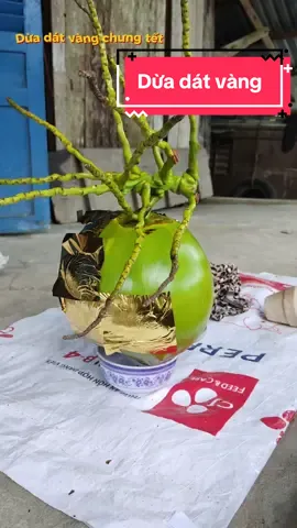 Năm nay làm dừa dát vàng ( mọi ngừời muốn tham khảo làm thì fl em em hướng dẫn thêm ạ )  #CapCut #tet2026 #duadatvang #tiktok #viral 