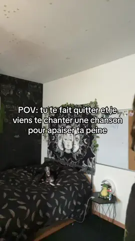 Feat. mon pimple patch #rupture 