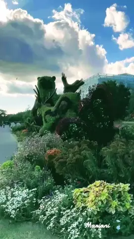 Gratidão meu Deus pela tua bondade! 🍃🌸 #Naturezaperfeita  #浜松フラワーパーク  #Flowers  #花  #Foryoupageofficciall  @Mariani @Mariani @Mariani 