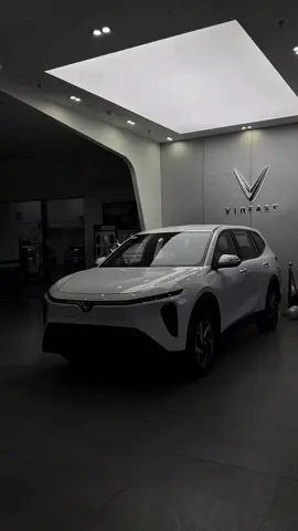 Sẵn xe – giao ngay Limo Green cho anh em chạy dịch vụ #vinfasthue❤️ #limogreen #limogreenvinfast 