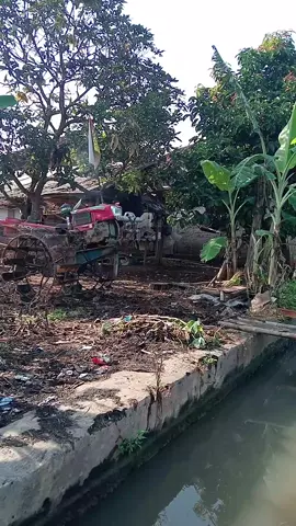 #traktorsawah #petanimuda