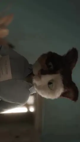 اون چرا با من خدافظی نکرد...