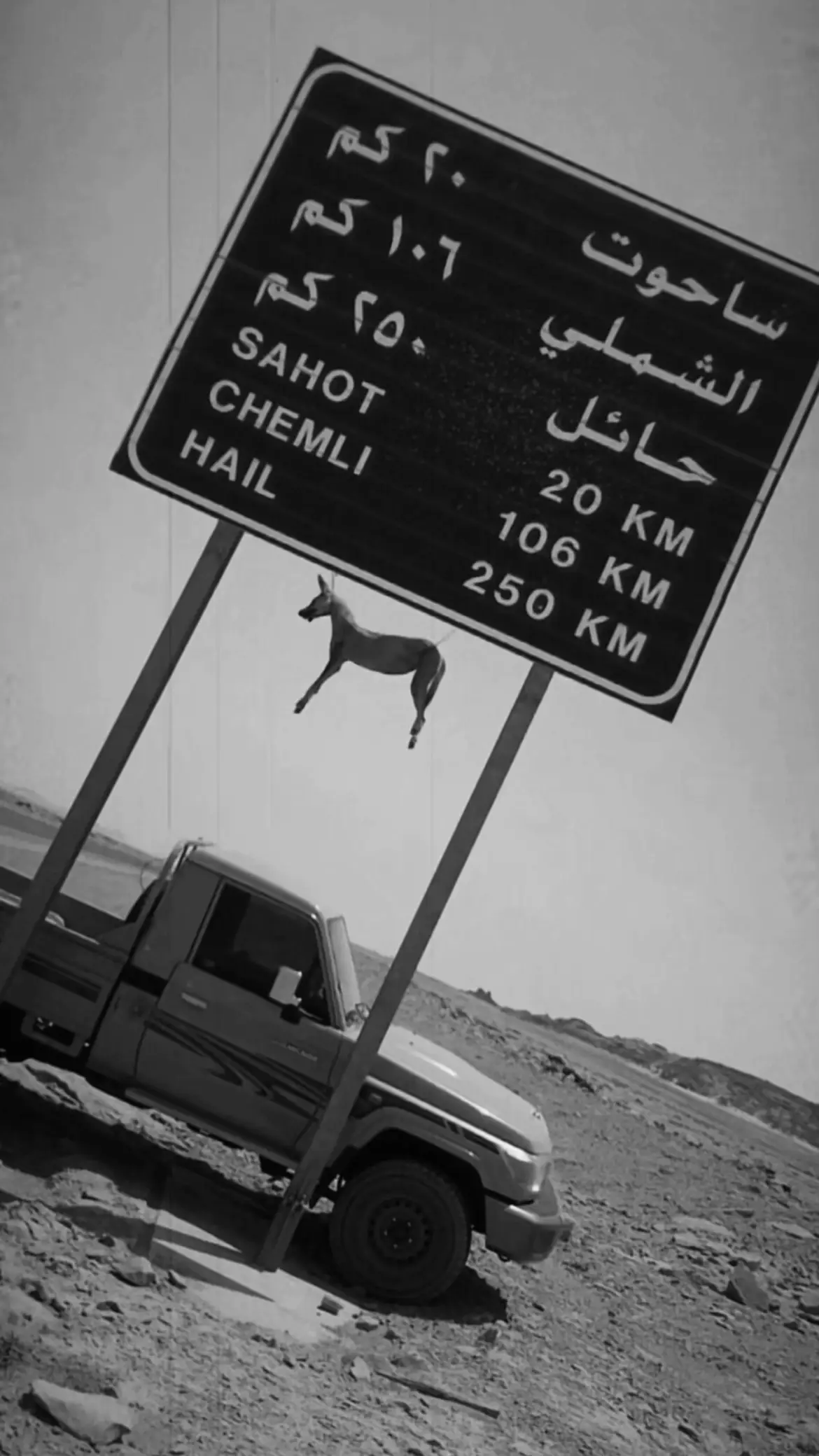 #الضواويه #عنزه #حائل #explore 