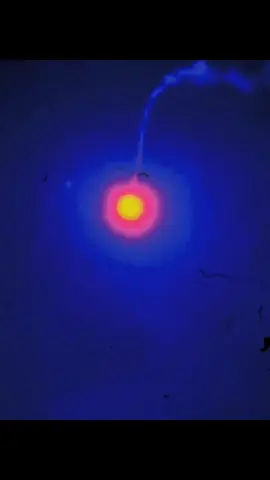 Deja vu 262: I'm lost #agnod #foryou #fyp 