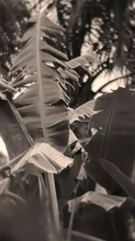 Lillahita'ala 😊✨ #ihsannurfauzi__ 