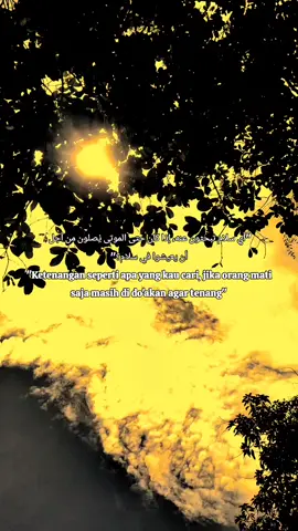 #creatorsearchinsights 