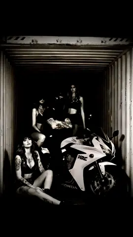 #BookTok #darkromance #biker #authorsoftiktok #indieauthor 