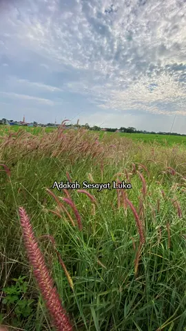 Goresan Cinta || Rheina #liriklagu #goresancinta #overlaylyrics #lyrics #lagumalaysia 