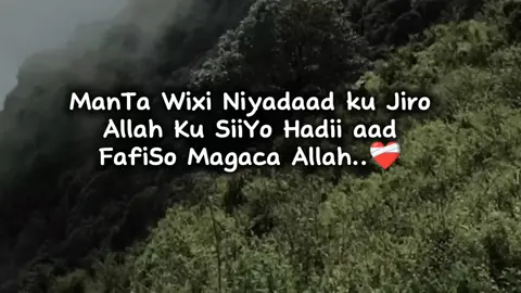 #creatorsearchinsight2025 #fypp #foryoupage❤️❤️ 