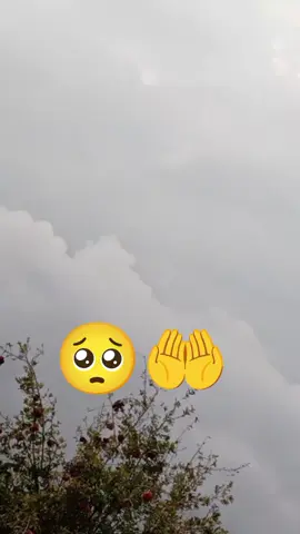 #🥺❤ #🤲🤲🤲🤲🤲🤲🤲🤲🤲🤲🤲🤲🤲🤲🤲 