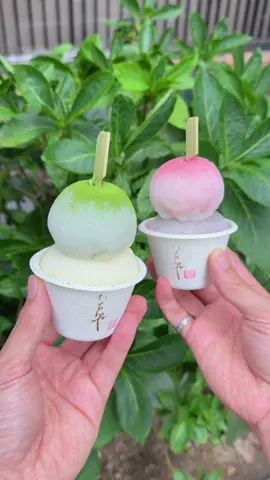 自家製のジェラートを餅で包んだジェラ餅🍨 ◆新ジェラ餅二段 (¥790) 日本初のジェラート餅専門店！ ジェラートの味は9種類から選べて、今回は和三盆ミルクと伊勢抹茶、ベルギーチョコと苺の組み合わせ モチモチのお餅とひんやり冷たい濃厚なジェラートの組み合わせが新感覚で美味しい！ 博多にきたら食べておきたいスイーツ！   ≪店舗詳細≫ 【店舗名】いもんね 博多店 【住所】福岡県福岡市博多区博多駅中央街9-1 博多マルイ 1F 【営業時間】10:00〜21:00 【定休日】なし 【予算】¥1,000以下 #福岡グルメ #博多グルメ #ジェラート餅   ====================================   Homemade gelato wrapped in chewy mochi—Jelamochi 🍨 ◆ New Jelamochi Double Layer (¥790) Japan’s first specialty shop dedicated to gelato-filled mochi! You can choose from nine gelato flavors. This time, we tried a combination of Wasanbon Milk & Ise Matcha, and Belgian Chocolate & Strawberry. The contrast between the soft, chewy mochi and the cold, rich gelato creates a unique and delicious new texture experience! A must-try sweet when you visit Hakata! ≪Store Details≫ Store Name: Imonne Hakata Address: Hakata Marui 1F, 9-1 Hakataekichuogai, Hakata-ku, Fukuoka, Japan Business Hours: 10:00–21:00 Closed: None Budget: Under ¥1,000   #japanesefood 