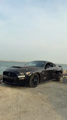 معليش العطر اغلى منك☺️#fyp #explore #foryou #usa🇺🇸 #JTI  