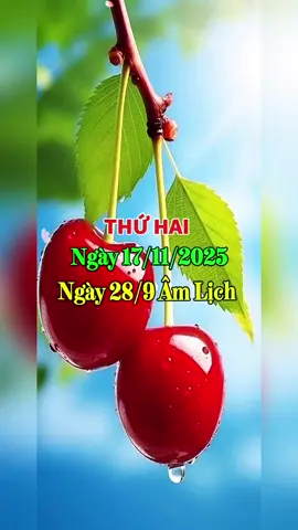 Chào Ngày Mới #ngaymoivuive 