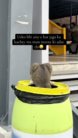 Tag him#foryou #viralvideo #viralvideo 