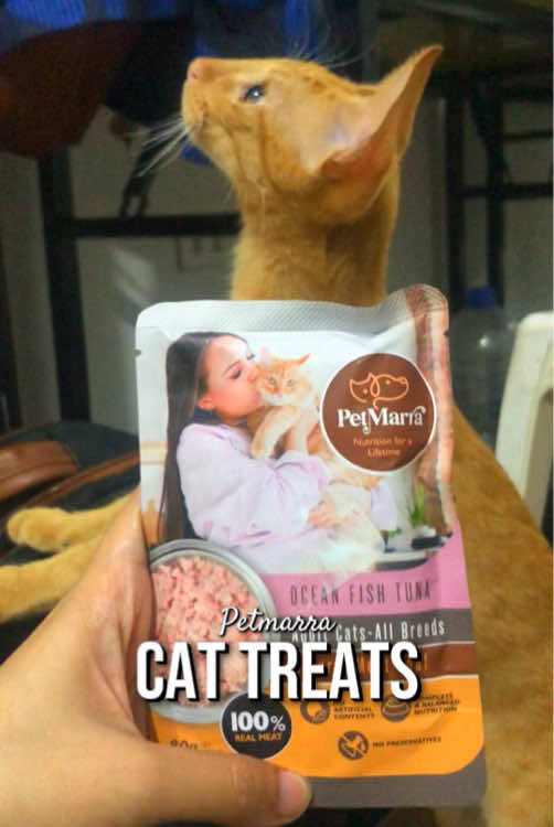 Petmarra: Cat Treats #cat #catfood #petmarra #cattreats #fur 