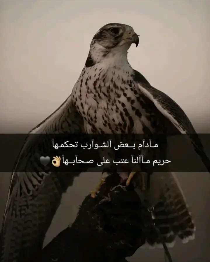 عباراتك الفخمه 📿⚔️تصميمي