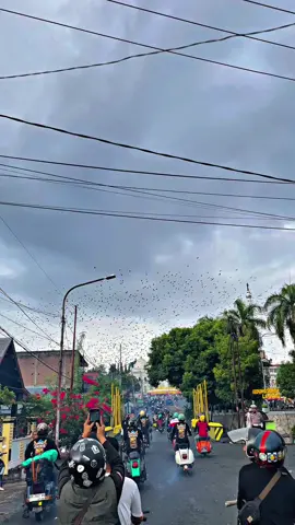 Soppeng Dengan Kalongnya🤩🤩 @JAMNAS 4 IVI SULSEL 2025 