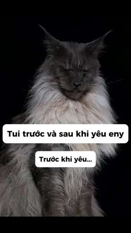 Lạnh lùng với cả thiên hạ, dịu dàng với mỗi mình em ☺️ #meme #pet #fpyシ #xhhhhhhhhhhhhhhhhhhhhhhh 