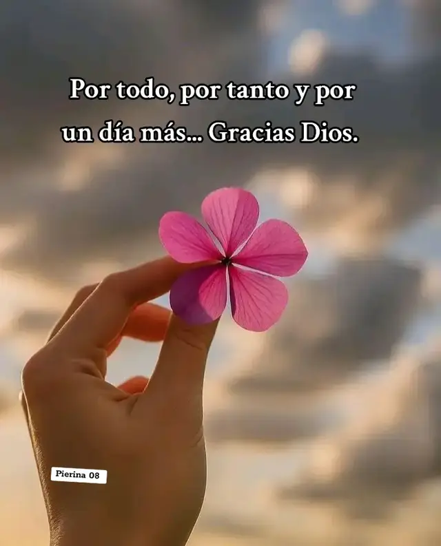 #siempregracias 🫶#,🙏🫶🙏✨🍀🪷💕❤️🫶🙏❤️💕💕#tiktokparatiiiiiiiiiiiiiiiiiiiii #fypviral #mujeresqueinspiran🌹🦋 