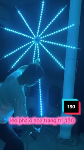 Đèn Led Hoa 16 Triệu Màu Cảm Biến Theo Nhạc Dùng Điều Khiển Thông Minh Trang Trí Trong Nhà ##đèn##Led##deco##7749hieuung##banhangcungtiktokshop