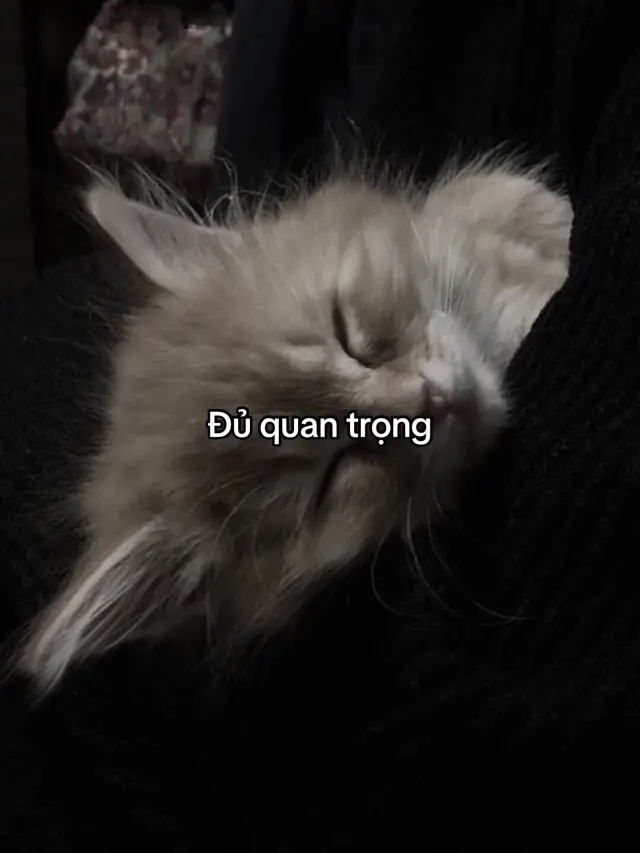 #sadstory #tinhyeu #viral #tam_trang_buon #pheoverthinking 