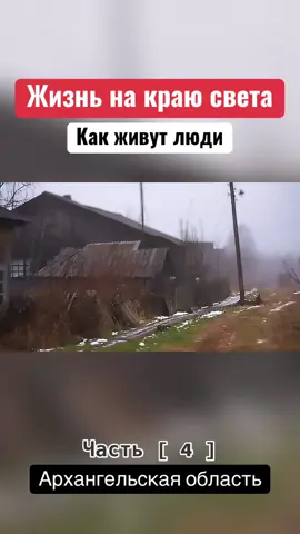 Здесь недалеко от плесецкого космодрома, в глубине лесов, живут два маленьких поселка Лужма и Сеза.  Узкоколейная железная дорога – единственная связь для местных жителей с внешним  миром #Лужма #Сеза #архангельскаяобласть #архангельск #узкоколейка 