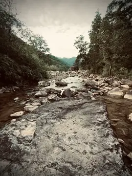 “希望最终我们能给彼此带来幸福，而不是仅仅互相祝福。” “Hi vọng đến cuối cùng, chúng ta là người mang lại hạnh phúc cho nhau, chứ không phải chúc phúc cho nhau.” #nho #yeu #xuhuong #viral #fyp 