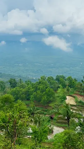 Lokasi makam SYEH WALIJATI yang berada di Puncak Batara Srinten , tempat yang indah berada di ketinggian 859 mdpl , sekaligus menjadi puncak tertinggi di Gunung Kidul . #makamsyehwalijati #puncakbatarasrinten #wisatapilangrejo #wisatapuncak #fypシ 