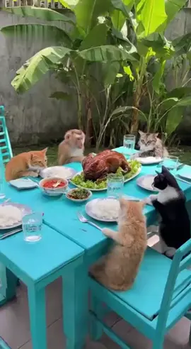 GAGAL MAKAN BERSAMA😂😂😂#ngakakkocakvideo #funnyvideos #fyppppppppppppppppppppppp #😂😂 