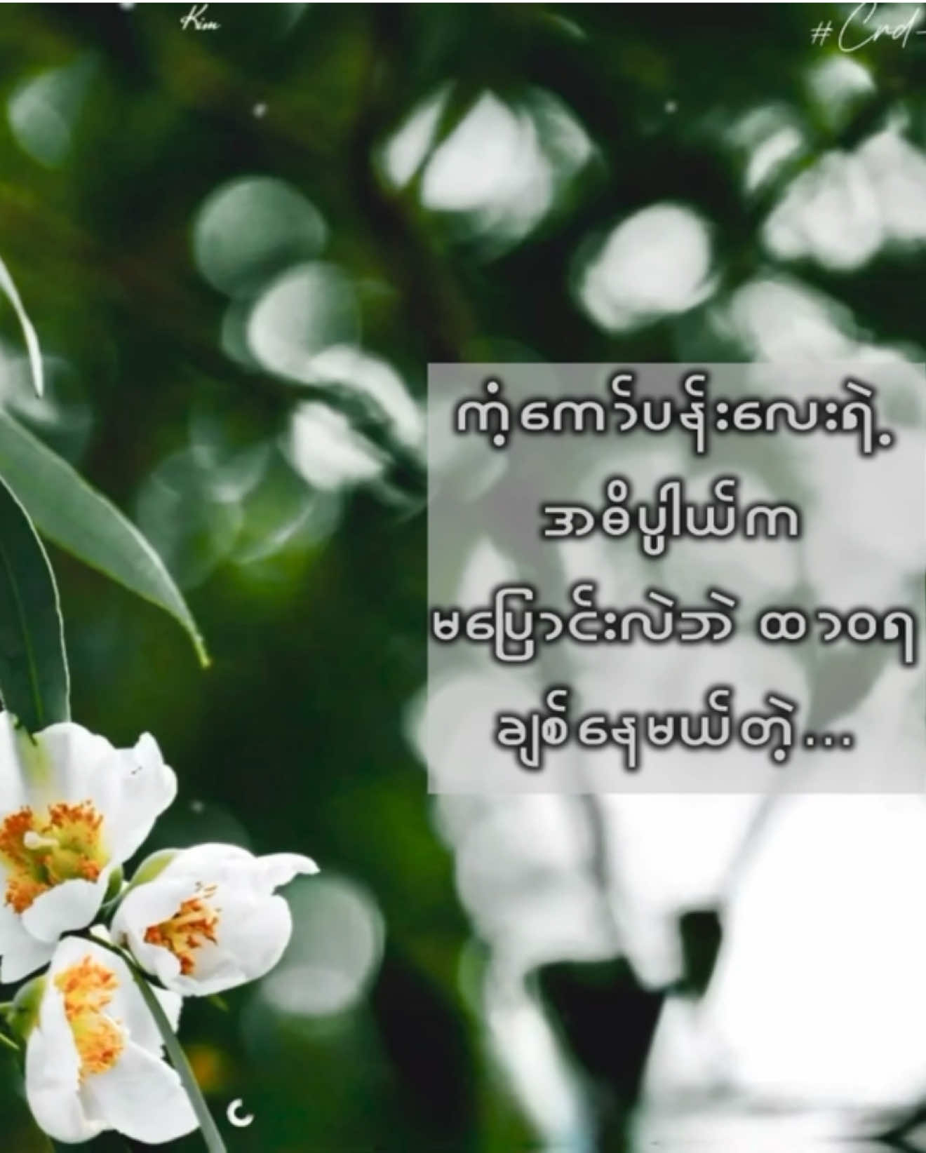 #crdစာသား #စာတို #စာပေ #စာပေချစ်သူ #ကဗျာချစ်သူ 