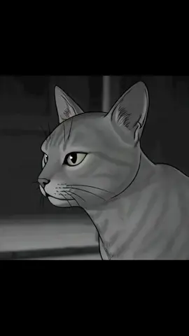 i created animation with sora ai #cats #AI #soraai 