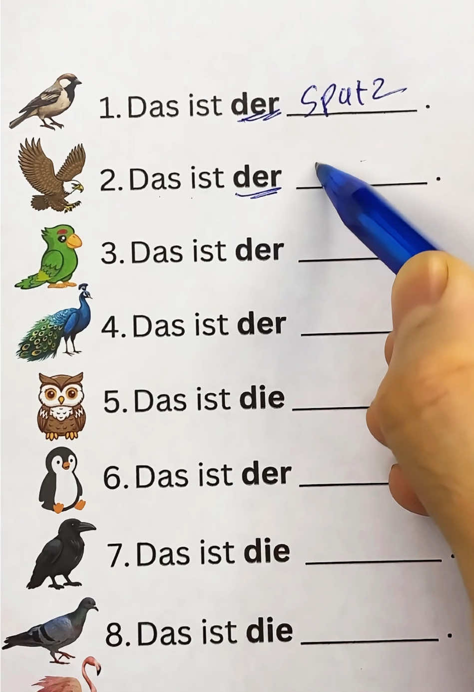 deutsch lernen!! #deutsch #deutschlernen #deutschspachen #lernen 